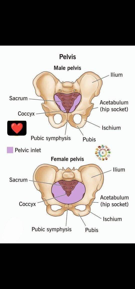 Avant après correction posturale — rééducation kinésithérapie Yaoundé